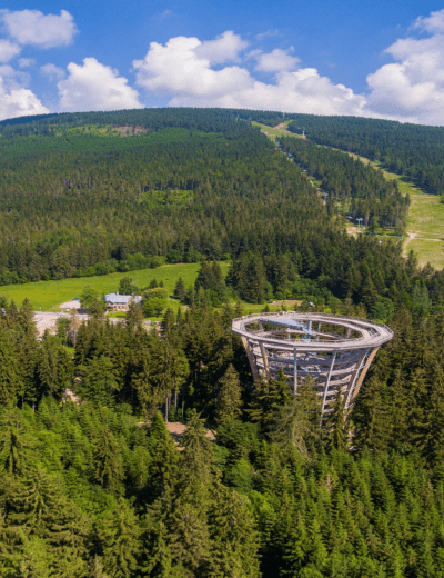 Discover Janské Lázně